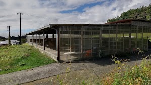 富士ヶ嶺 おいしいキャンプ場 place picture