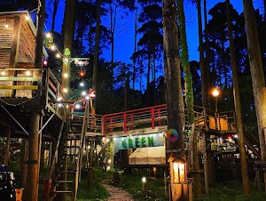 Camping GREEN place picture